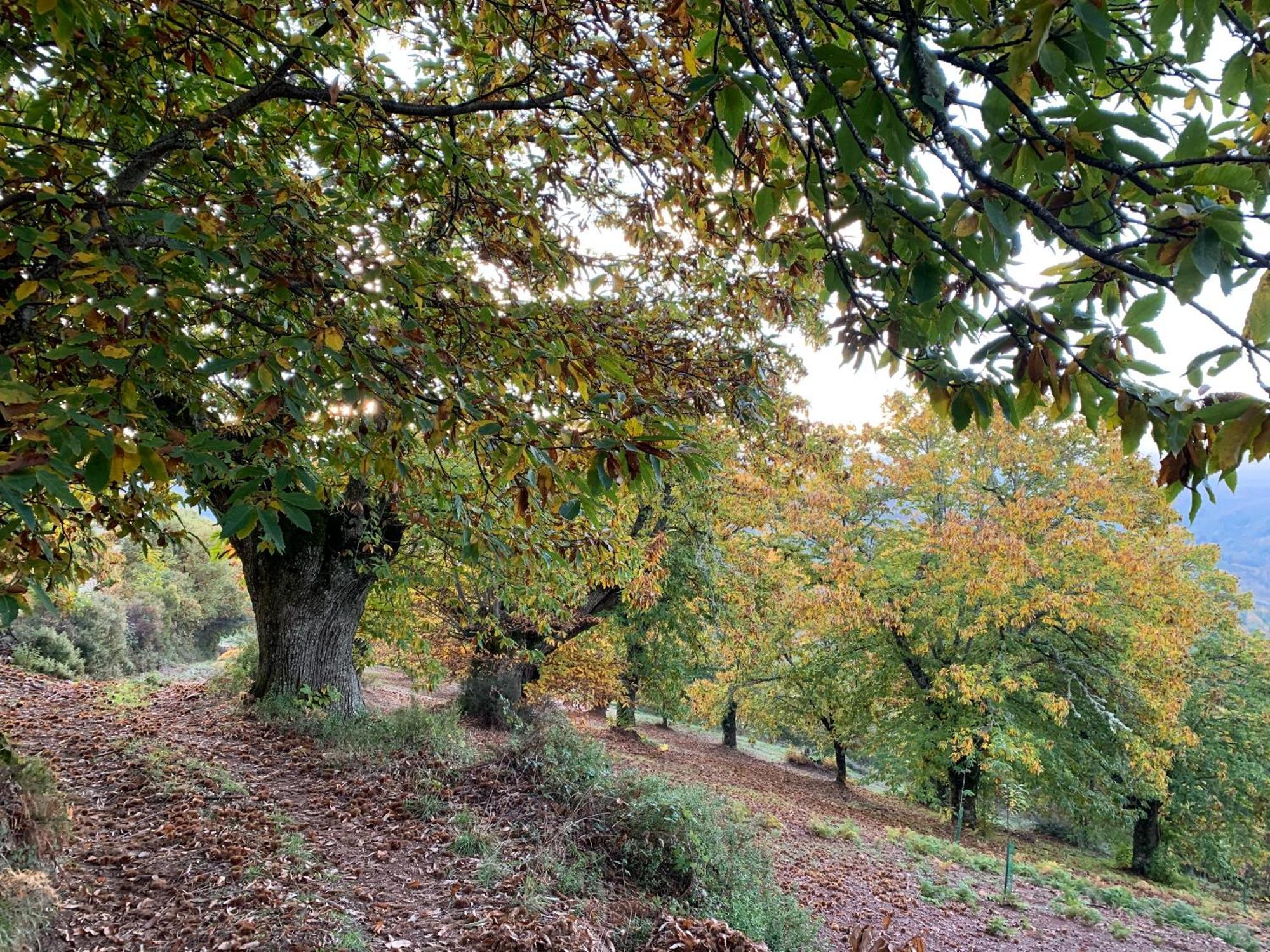 Casa Do Souto - Nature & Experiences - Turismo Rural Bragança Esterno foto