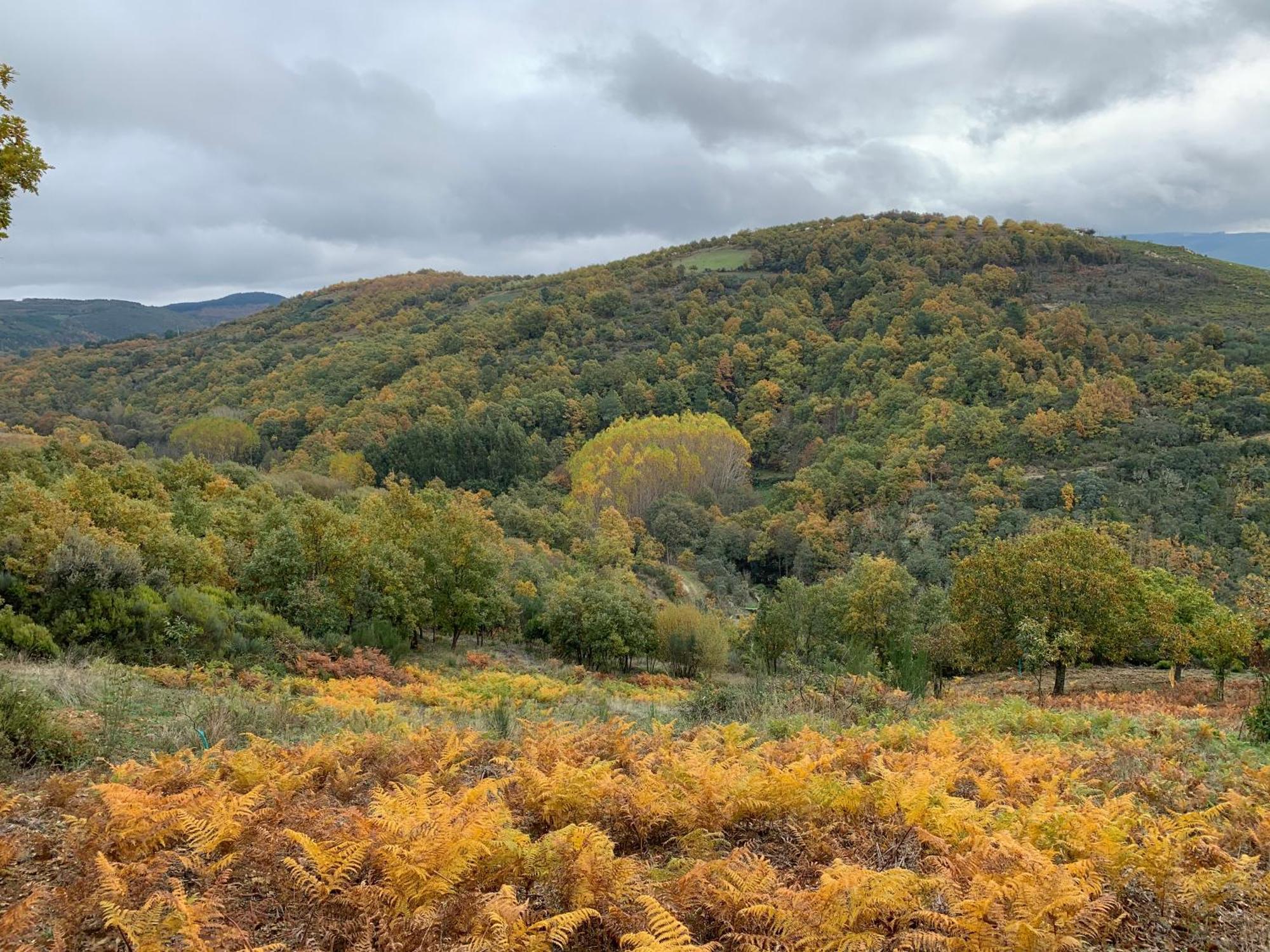 Casa Do Souto - Nature & Experiences - Turismo Rural Bragança Esterno foto