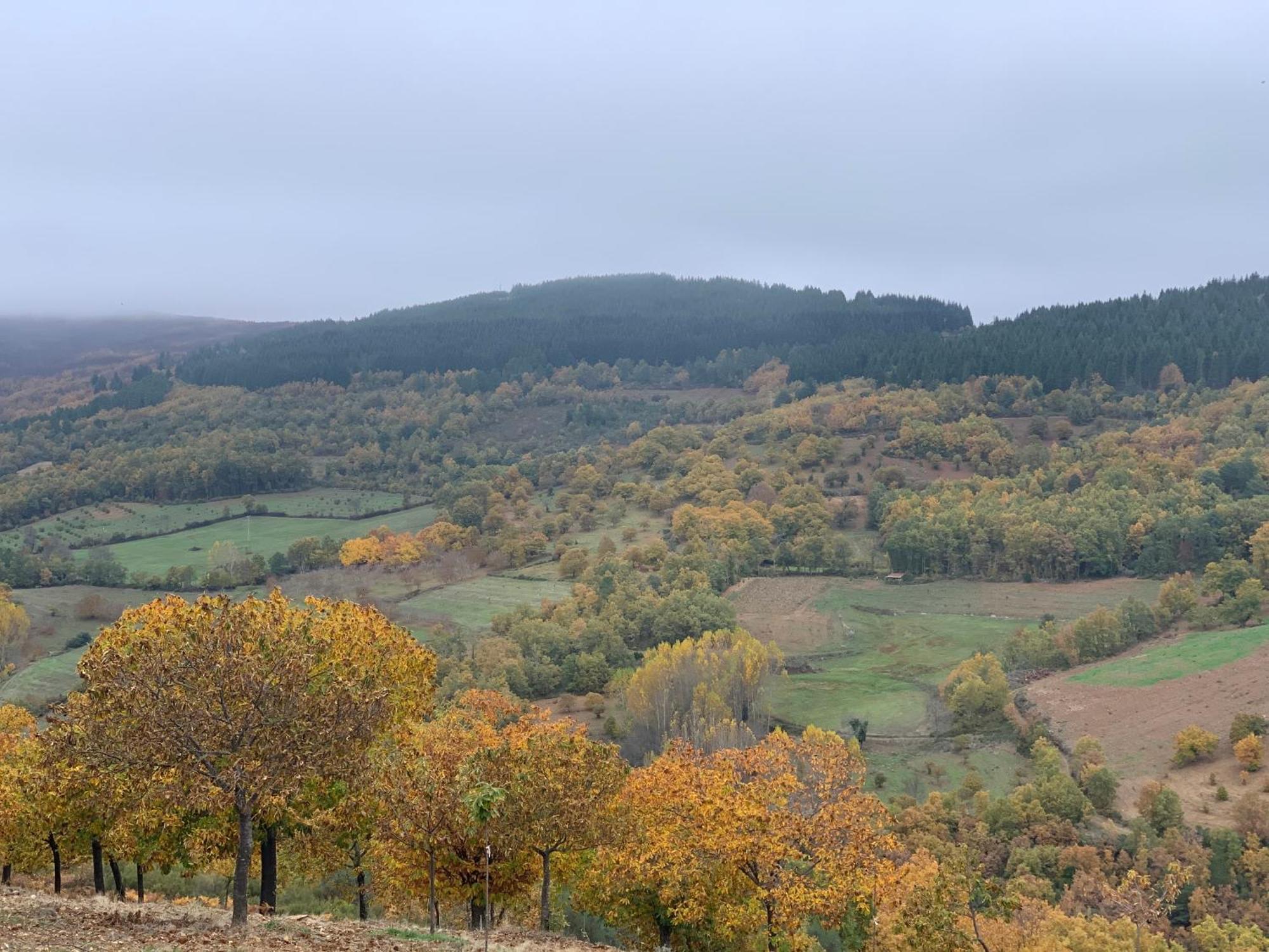Casa Do Souto - Nature & Experiences - Turismo Rural Bragança Esterno foto